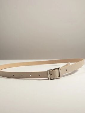 Kohl's Reversible Silver or Taupe Belt with Silver Buckle